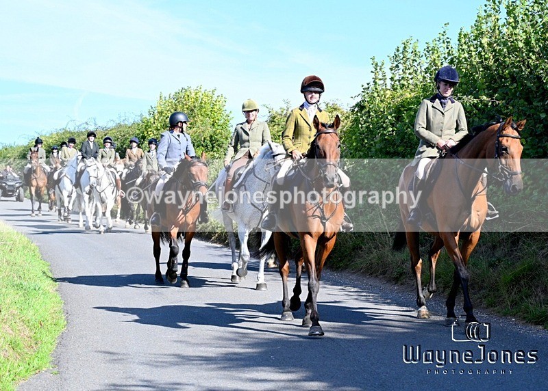 WJ7_0339 - Berks & Bucks - Hound Exercise – Kennels 06-09-26