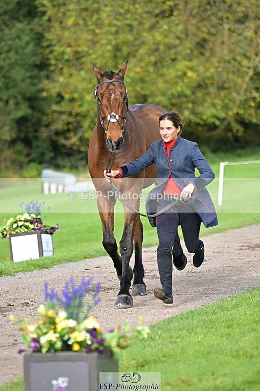 241023-132659-00297 - 053-Lois.Teal-Z7.CATASTROPHE