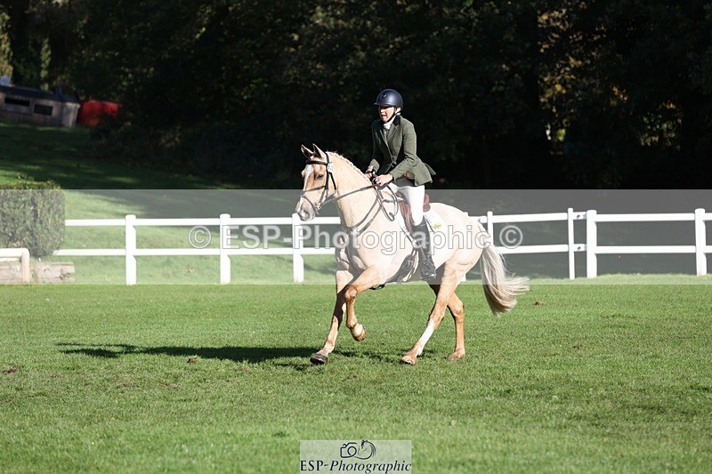 231022-104311-24691 - 612-CORRIEVIEW.MERLIN.MAGIC-Jane.Rogers-TrotUp+SJ