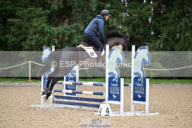 250201A-094830-00067 - Cls 01 Local Horse 90cm