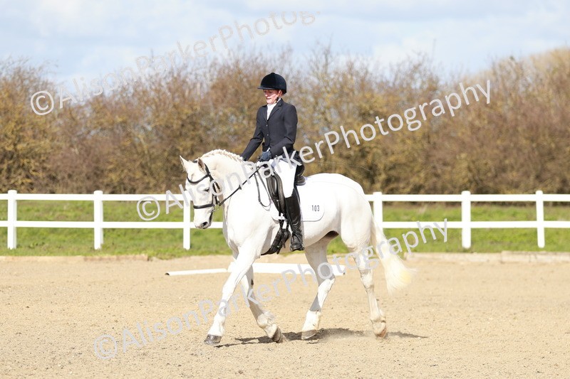 20260314-2969 - DR3 - Prelim 1