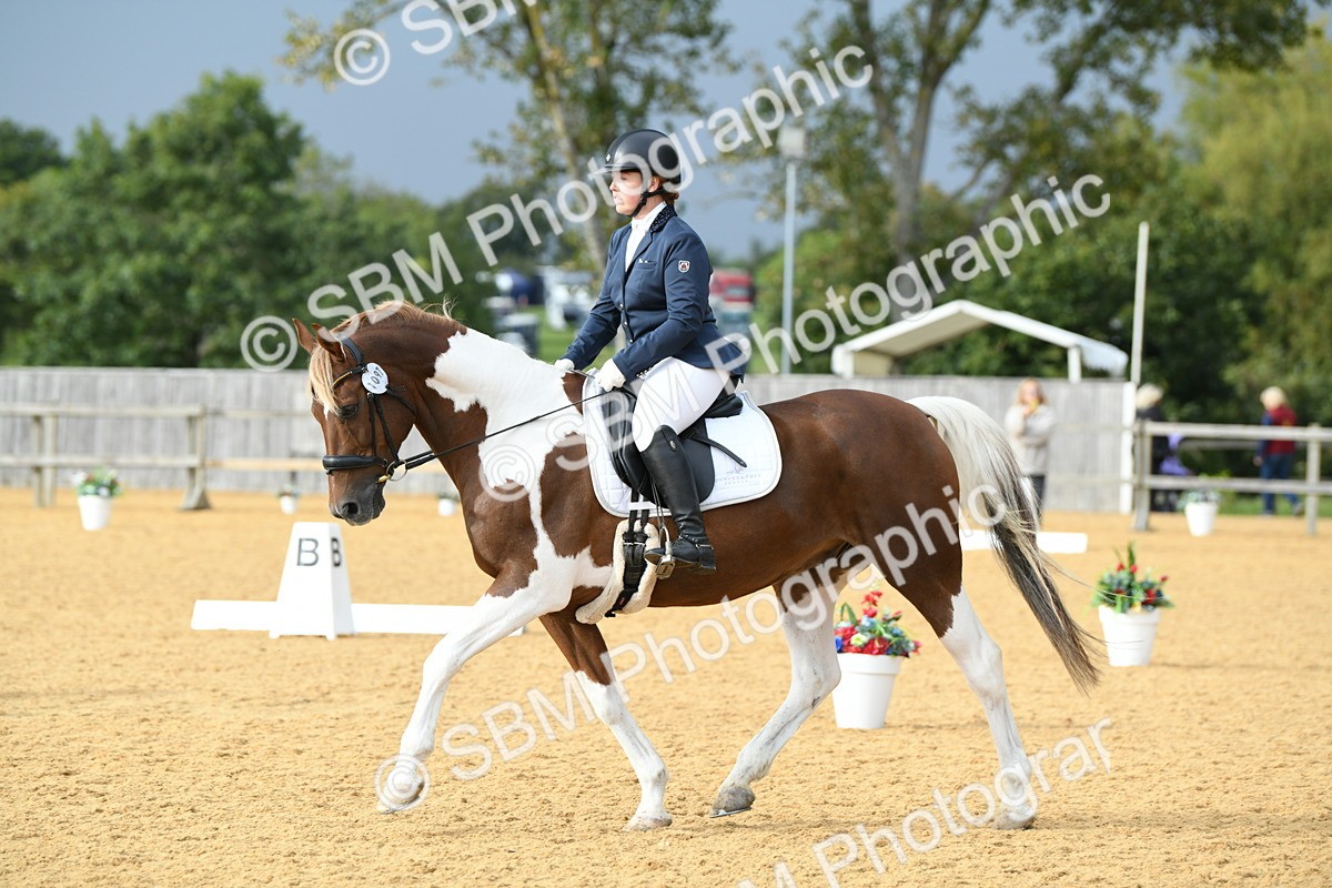 SBM_11045 - D28 Elementary Taster Elementary 42