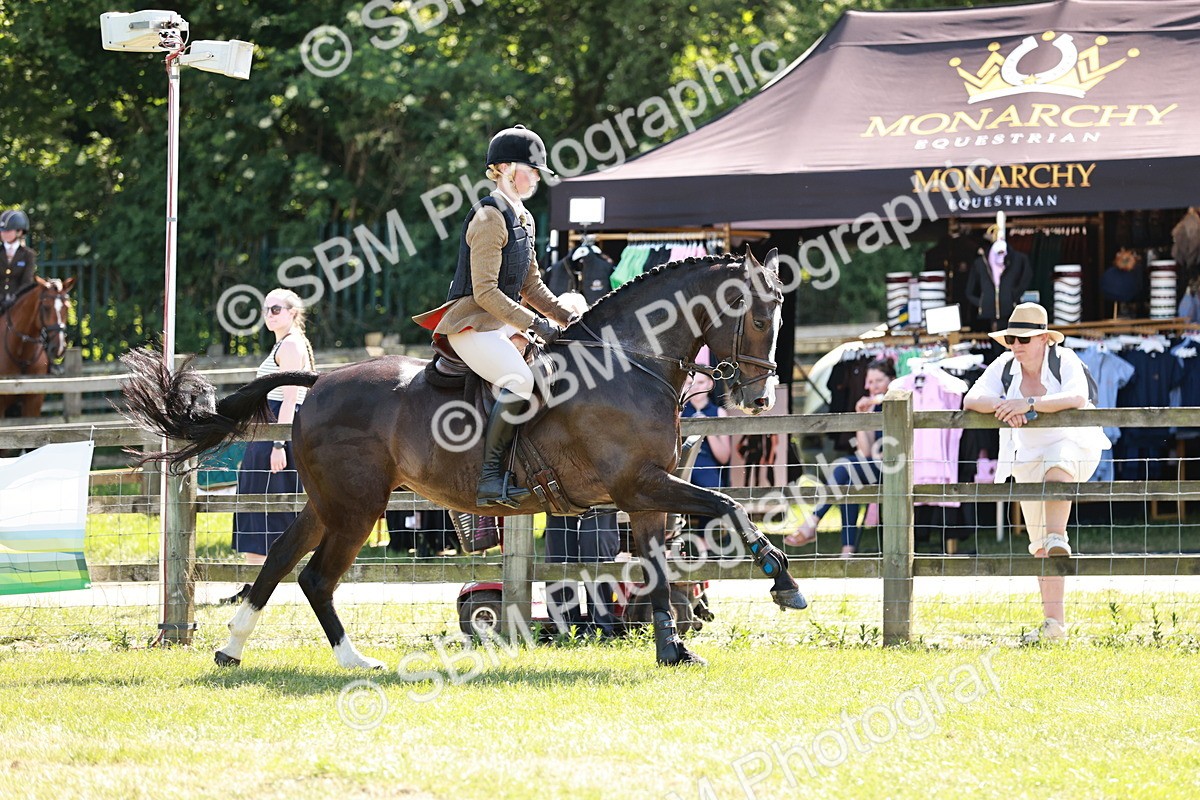 SBM_18407 - Class 112-113 - BSPS LIHS Working Sports Pony