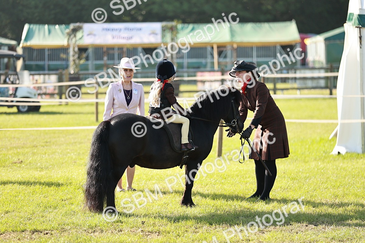 SBM_11103 - Class 106-107 - BSPS LIHS Working Sports Pony