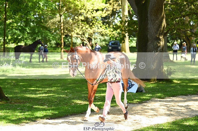 230524-150826-00085 - 308-NEFFECT_S-Kat_Raybould-WEDTrotUp+DR