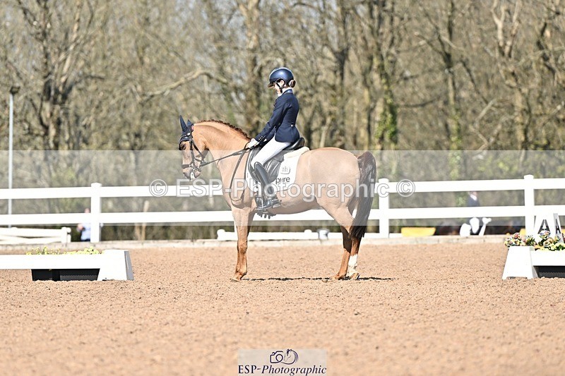 250404-134042-06444 - 061-Violet.Hawkins-DZL.Royal.Sunrise