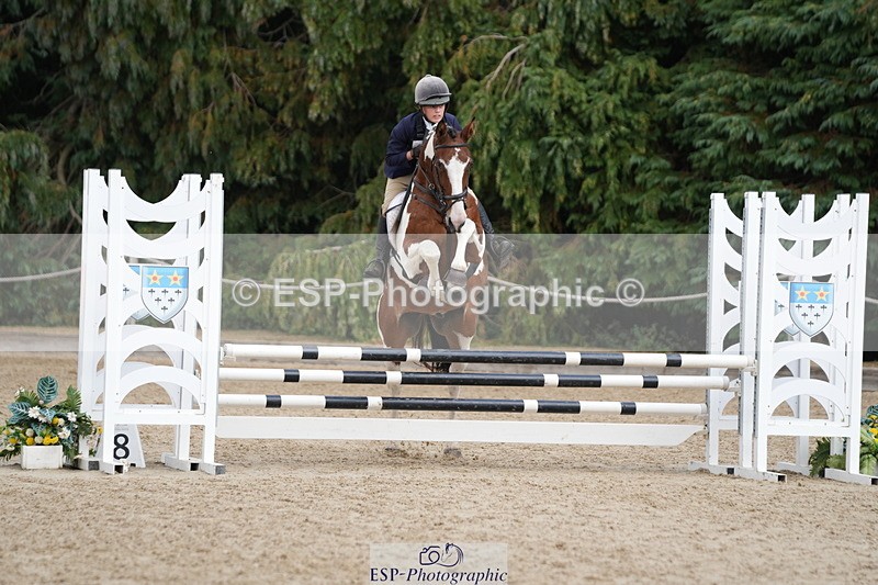 250824A-133115-37536 - 2125-Hen.Jeanes-Painted.proper