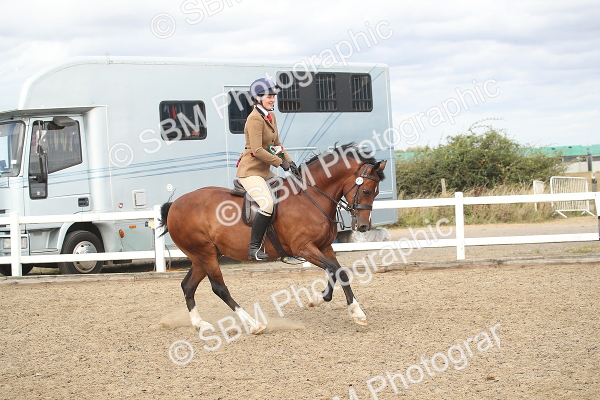SBM_17809 - Class 508a - Working Veteran 70cm (15-19)