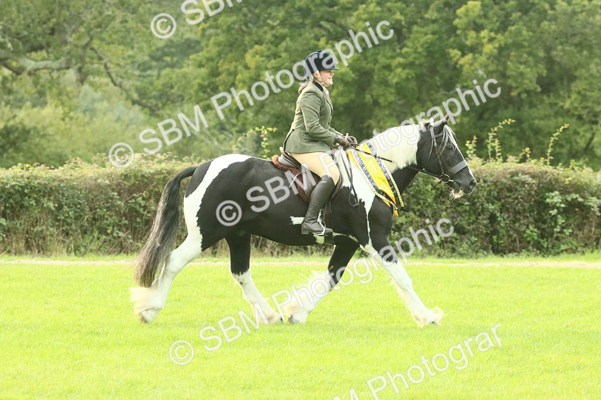 SBM_75335 - Super Supreme Championship