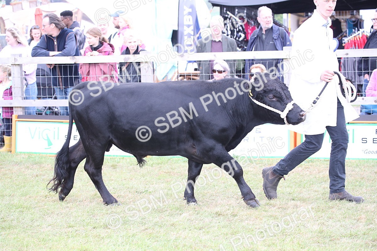 SBM_07849 - Grand Parade