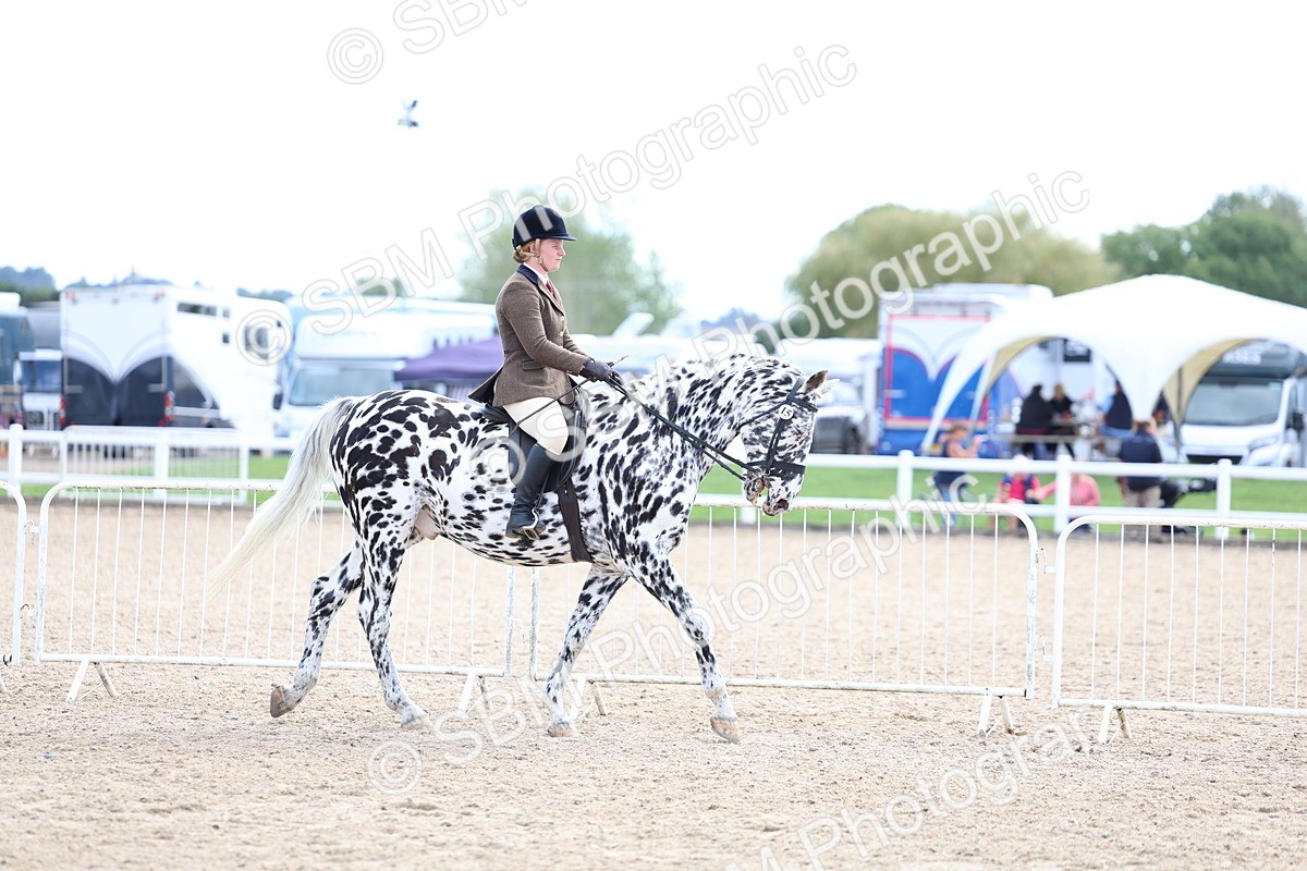 SBM_17062 - Class 315 - Best Horse - Rider Combination