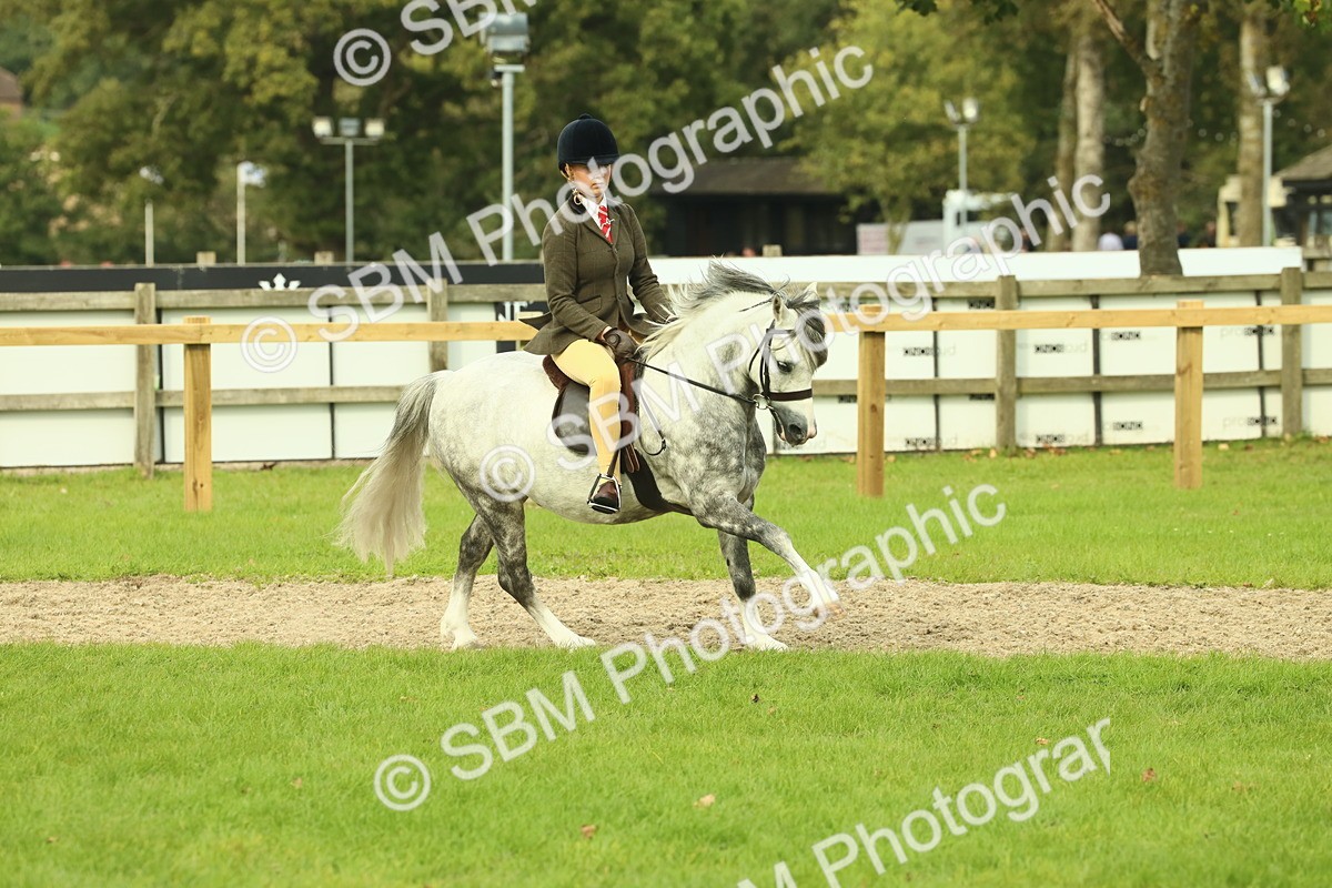 SBM_69861 - S59 - Mountain & Moorland Ridden Small Breeds