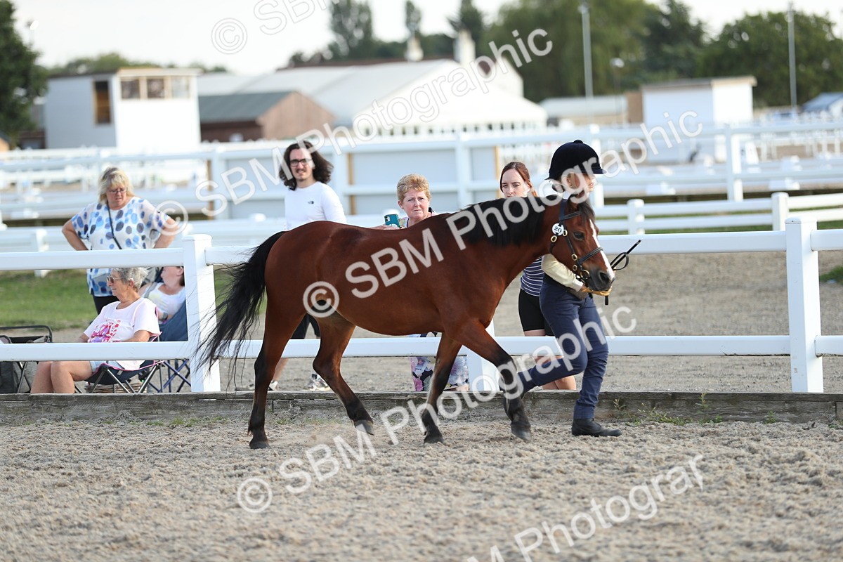 SBM_08926 - Class 29 IH Veteran Pony