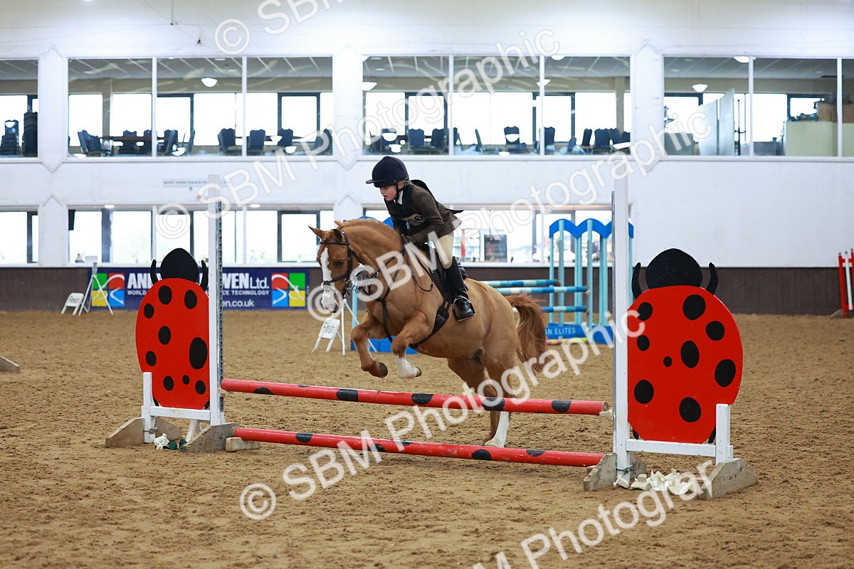 SBM_000413 - Class 19 - 50cm