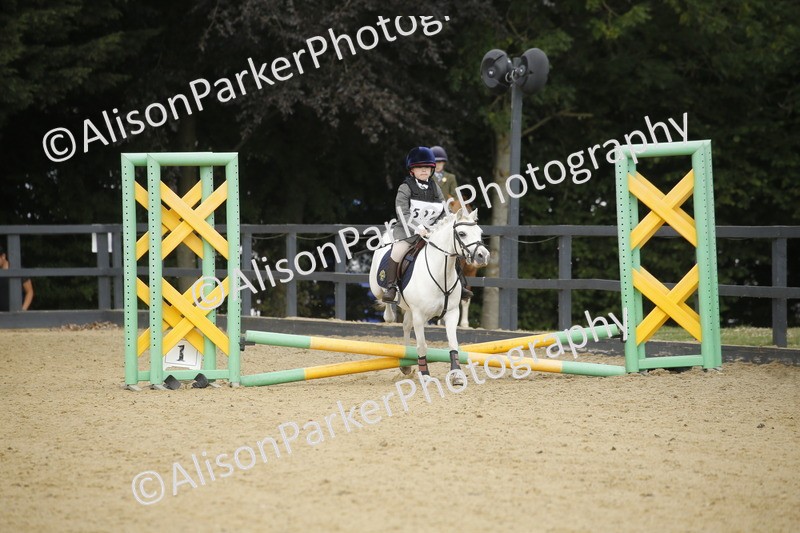 20250622-1463 - 40cm