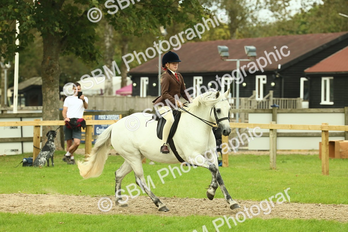 SBM_72022 - S60 - Mountain & Moorland Ridden Large Breeds