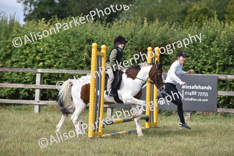 20250831-0486 - Class 7 - Absolute Novice 35cm