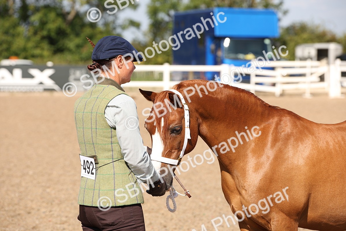 SBM_02762