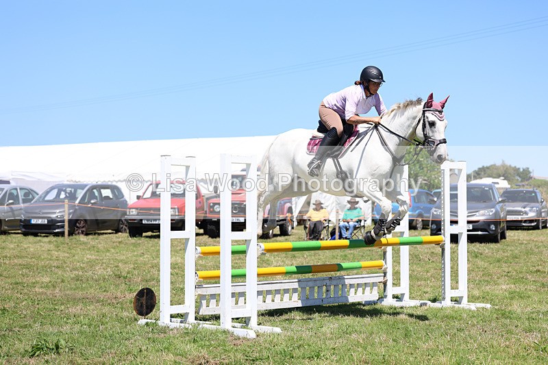 3E7A5641 - Class 9: Senior British Novice/90cm open