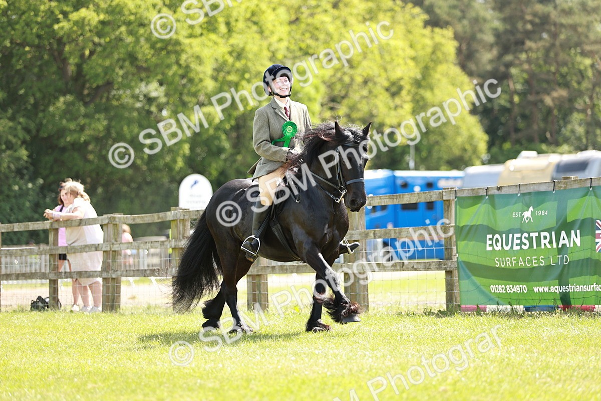 SBM_07237 - Class 26-30 - Mountain and Moorland Ridden