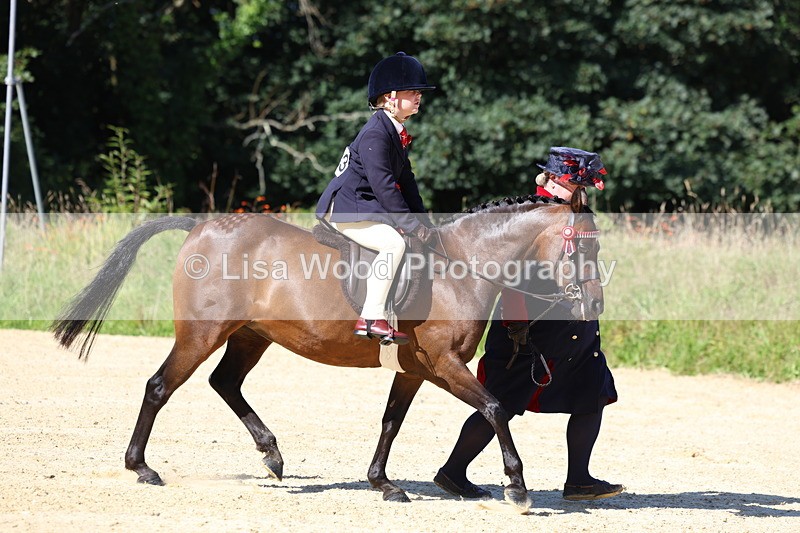 3E7A7969 - Class 14: Tack and Turnout