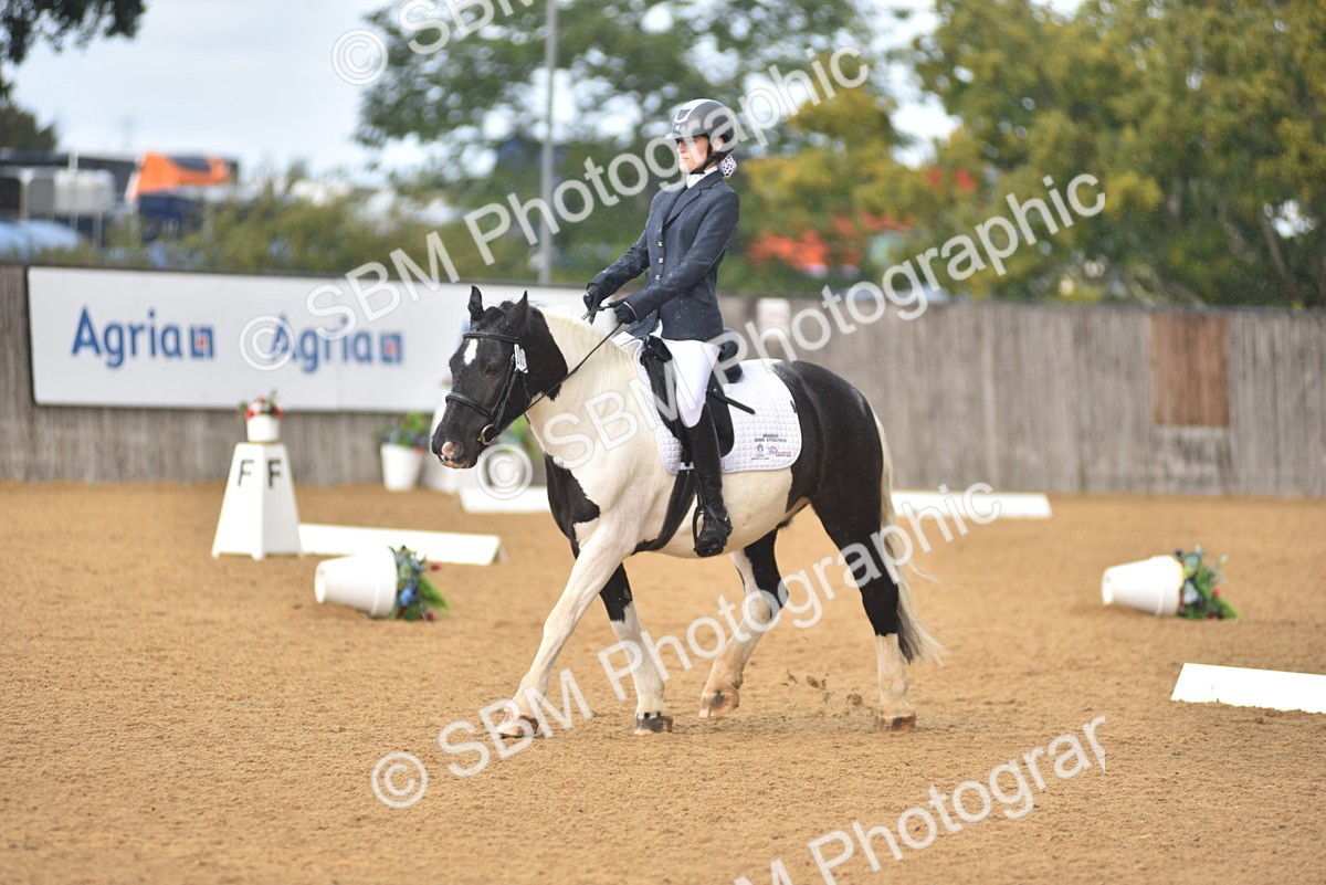 SBM_19911 - D4 - Small Tour Championship Intro 4
