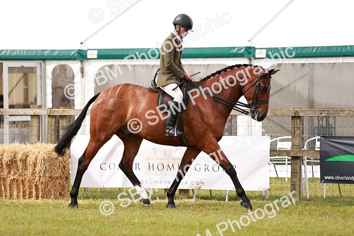 SBM_11529 - Class 81-84 - RIHS Ridden hunters Inc Ladies Hunter