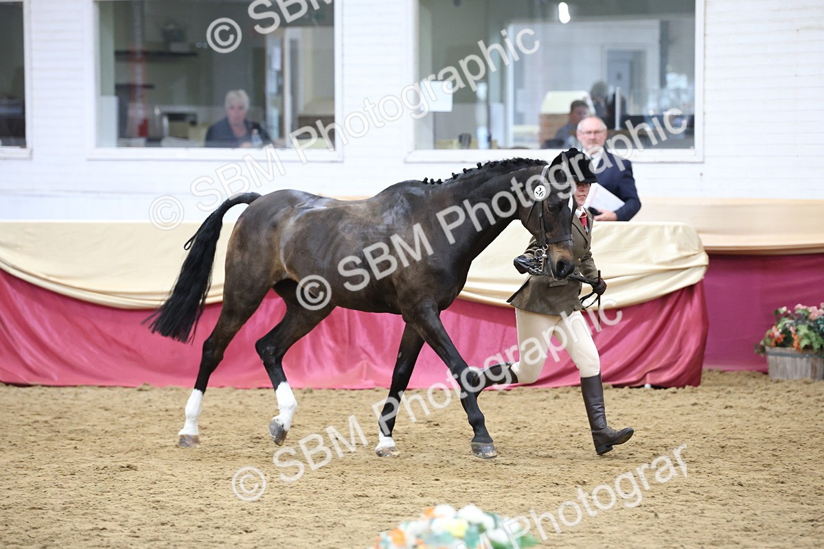 SBM_23633 - Class 904 - Supreme Final - Ridden Diamond