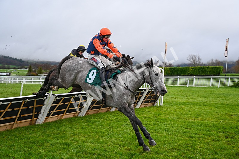 121225-Race 1-Kingston Queen-3317 - Race 1