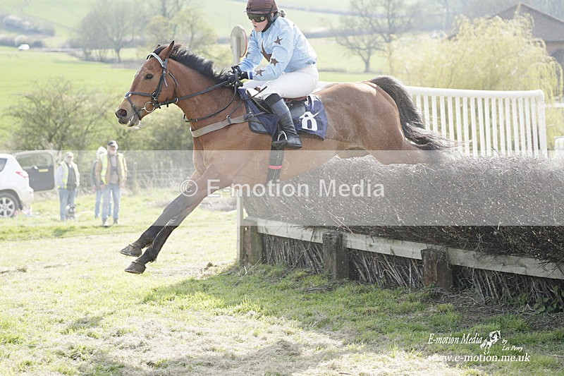 PtP 080423 623 - Dingley Races The Woodland Pytchley Hunt PtP 08/04/23