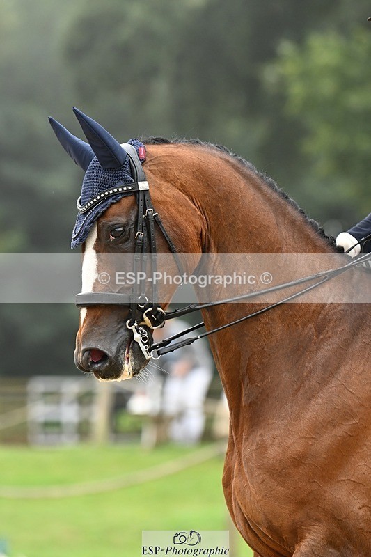 240811-114714-05607 - 305-Emily.Coller-Iondale