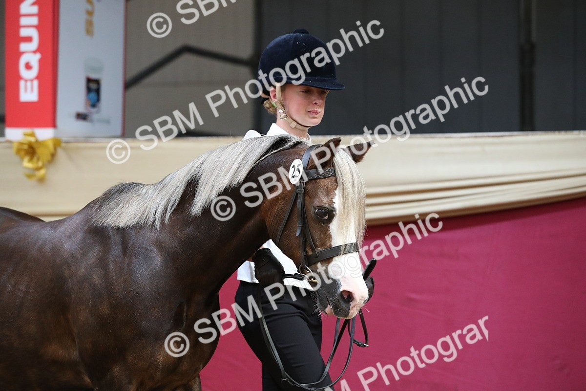 SBM_15093 - Class 501 M&M IH Supreme Final