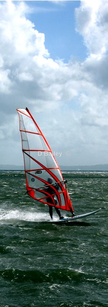 wind surfer