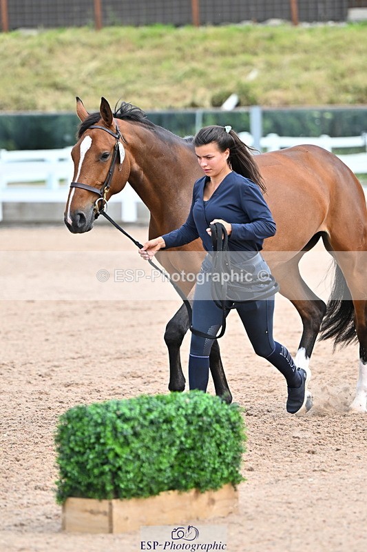 240718A-105321-01884 - Trot Up 1pm to 2pm
