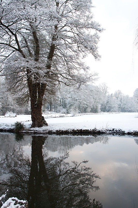  - Winter
