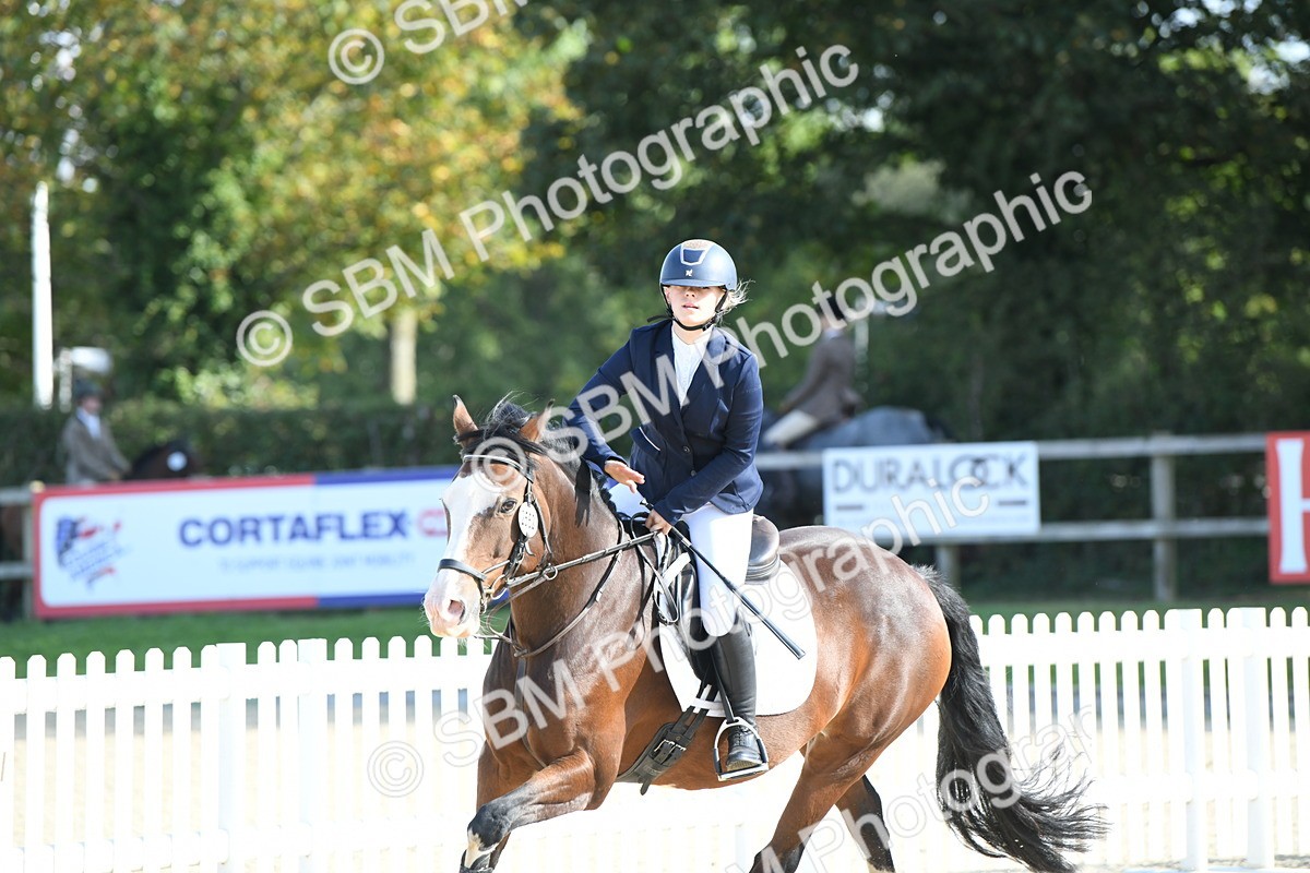 SBM_61703 - j25 - Junior Horse 80cm Championship