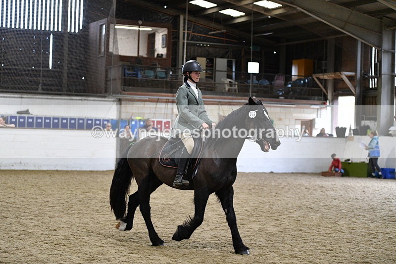 WJ5_7876 - Class 13 Ridden Part Breed