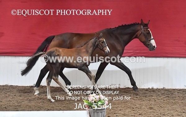 JAC_5544 - 13 Zi Real McCoy