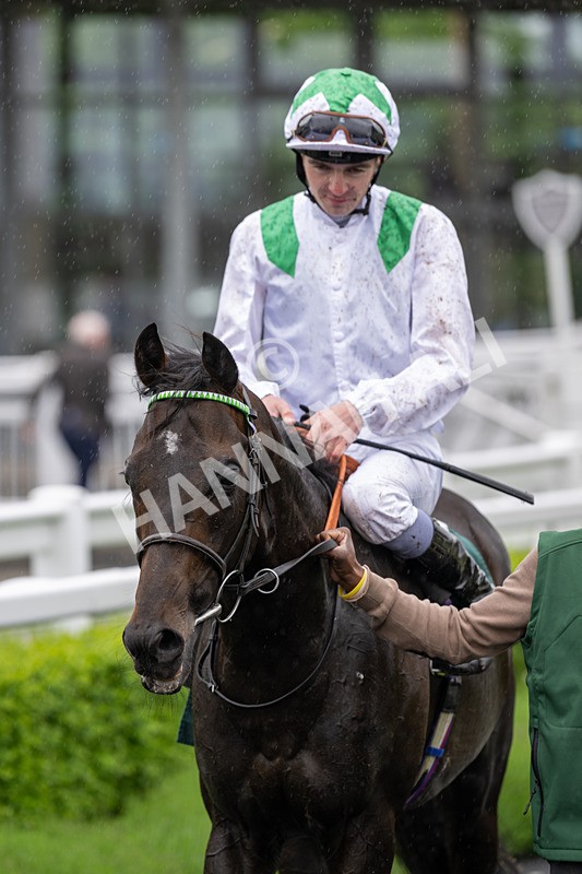 230524-Race 3-See The Green-1619 - Race 3