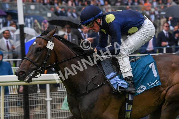 140723-Race 5-Monte Linas-0524 - Race 5 4.25pm Coopers Marquees Handicap