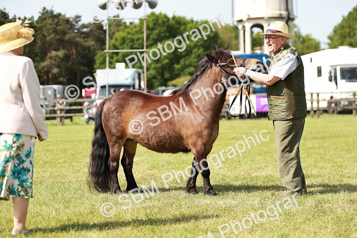 SBM_01832 - Class 14-23 - Mountain & Moorland In Hand Non Welsh