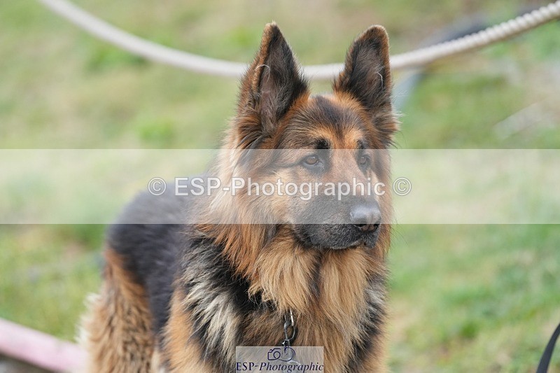 250727-142646-10755 - Cls 27 NAF Silver League Jump Off and Presentations