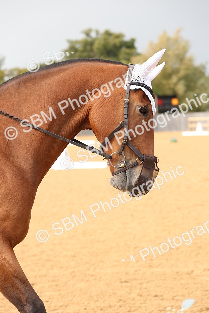 SBM_26943 - D17 - Grand Tour Championship Novice 3