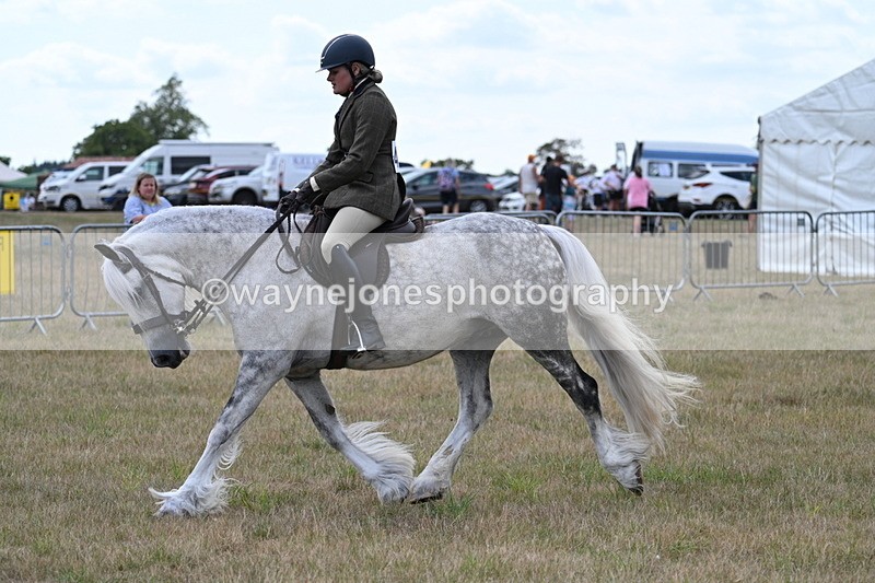 WJ7_5280 - Class 12 Ridden Cob