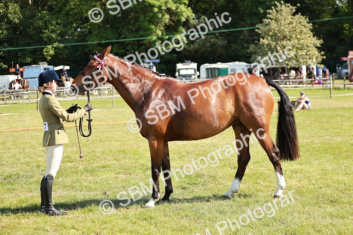 SBM_18927 - Class 114 - RIHS & SEIB Open Working Show Horse