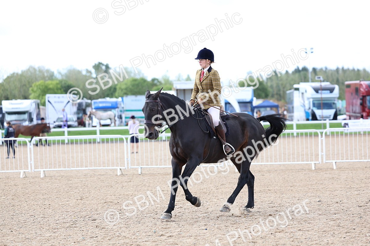 SBM_10082 - Class 304 - Ridden Part Bred Horse Pony