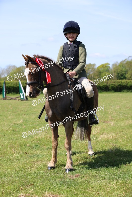 20250427-2513 - Class 19 - Mini Working Hunter