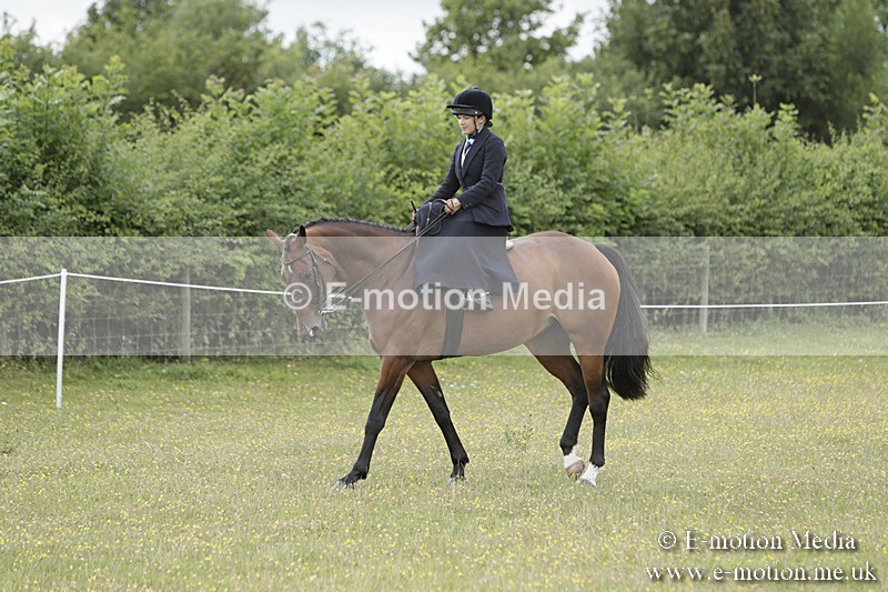 BVR160717-2378 - Side Saddle Classes 16/07/17
