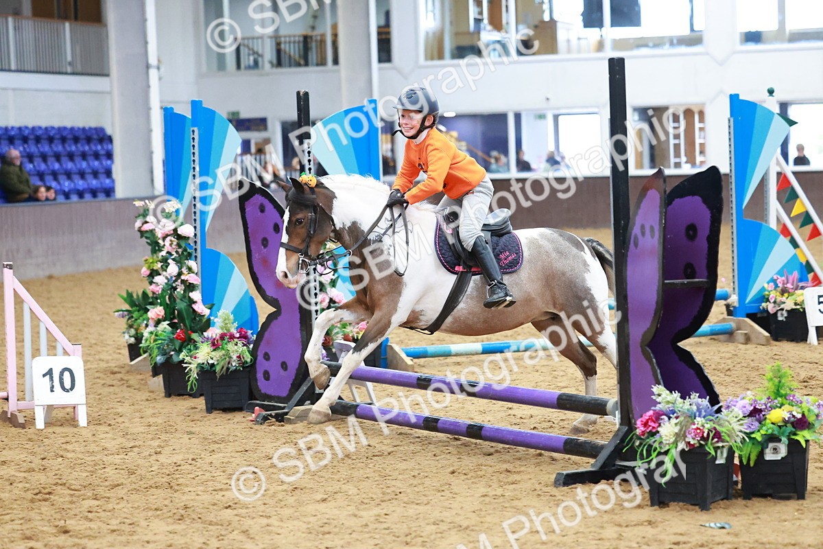 SBM_001700 - Class 3 - Horse & Hound (60cm)