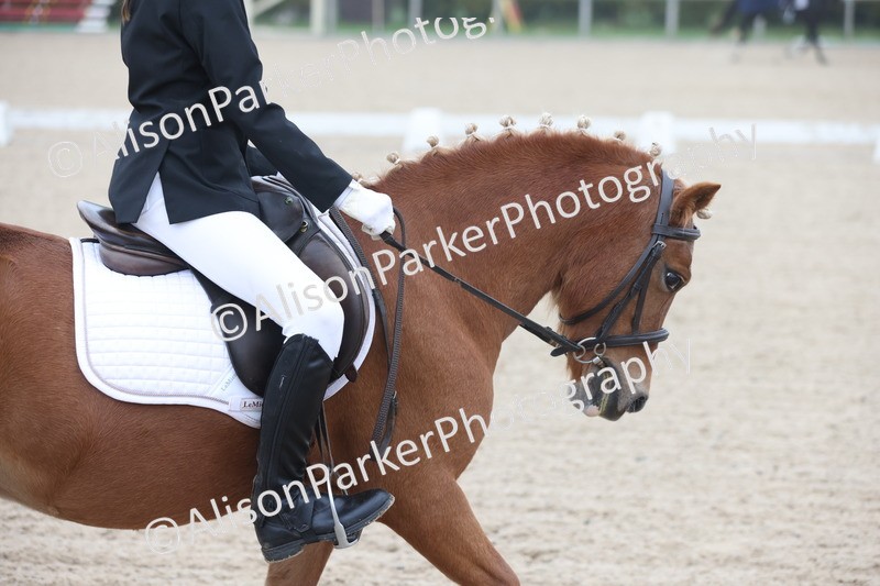 20251012-0072 - Class 1 - Prelim 5